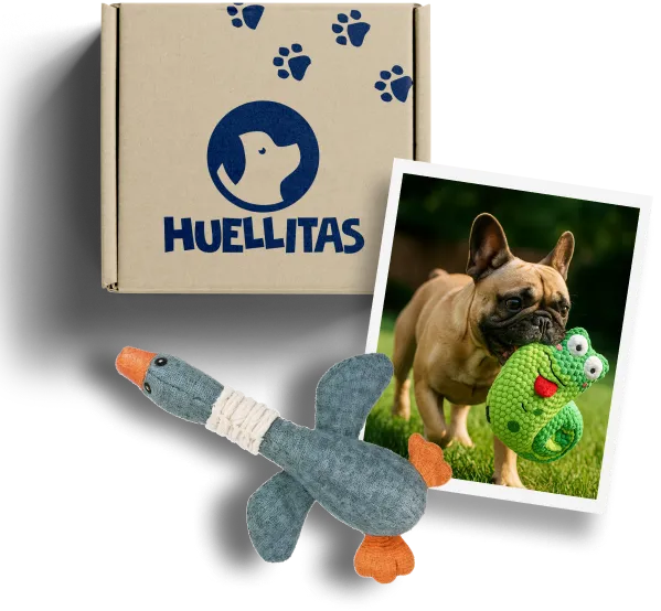 Perro jugando con un juguete de la caja Huellitas